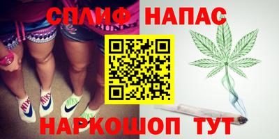 гашик Обнинск