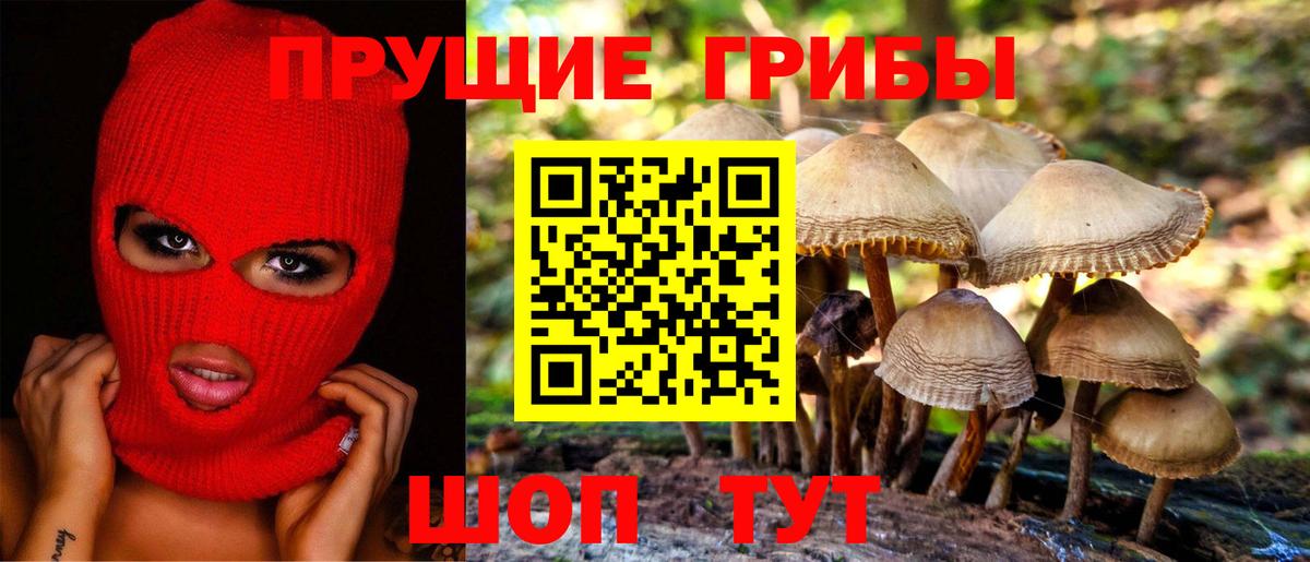 Фролово  Галлюциногенные грибы GOLDEN TEACHER  Вход с VPN 